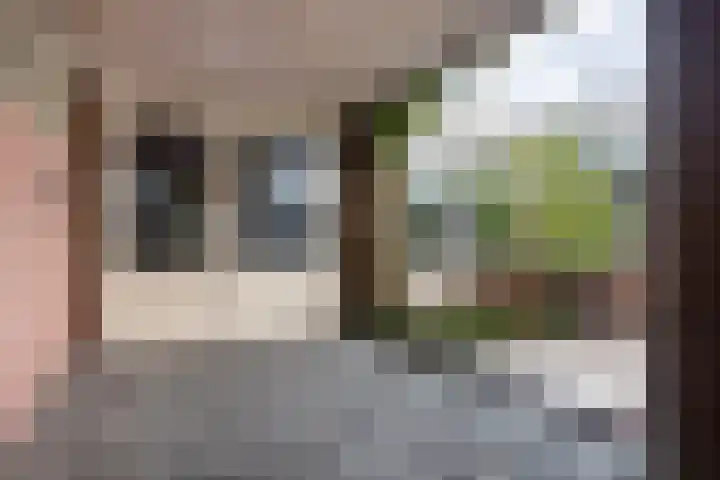 Pastpaedje 20 Meijel thumbnail 45