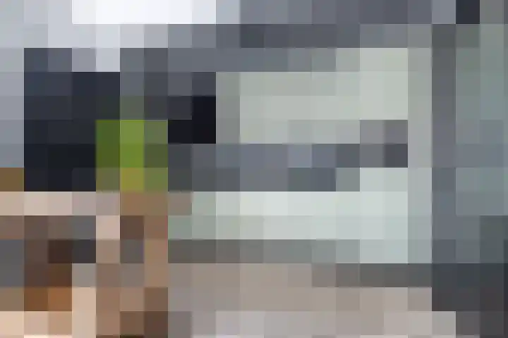 Pastpaedje 20 Meijel thumbnail 5