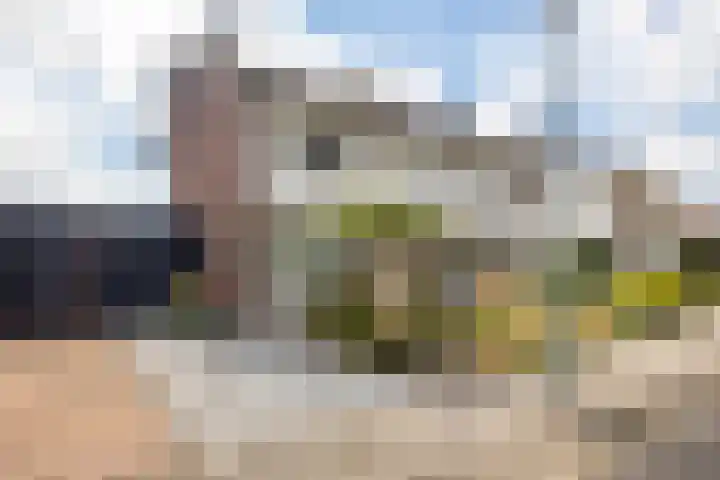 Pastpaedje 20 Meijel thumbnail 50