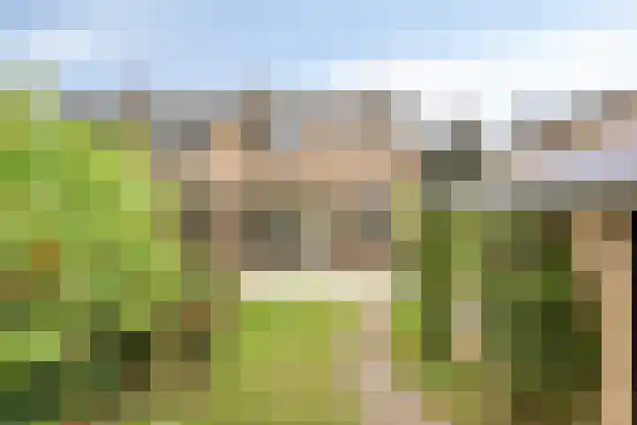 Pasweg 74 Landgraaf thumbnail 25