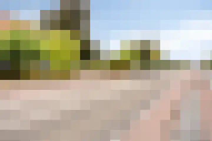 Pasweg 74 Landgraaf thumbnail 28