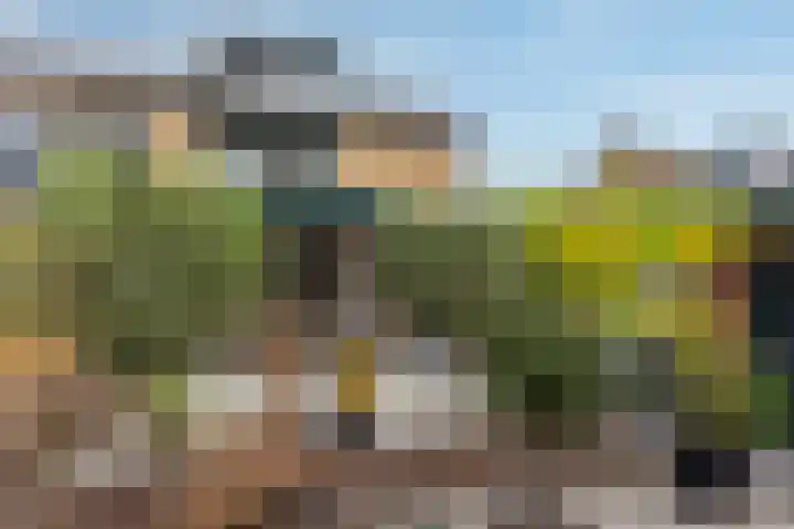 Patchstraat 16 Sittard thumbnail 25