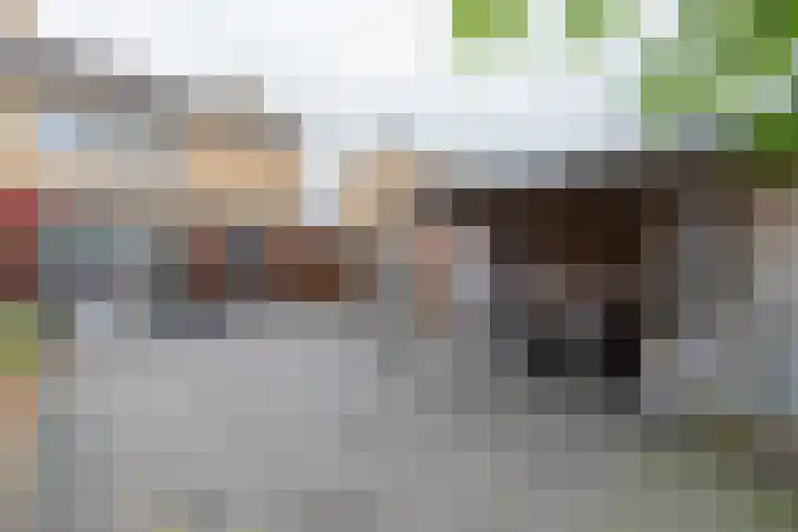 Patchstraat 24 Sittard thumbnail 16