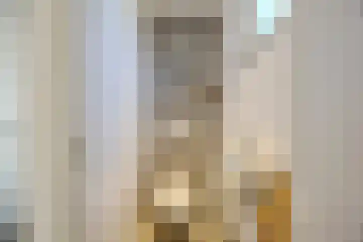 Pater Berthierstraat 2 Grave thumbnail 18