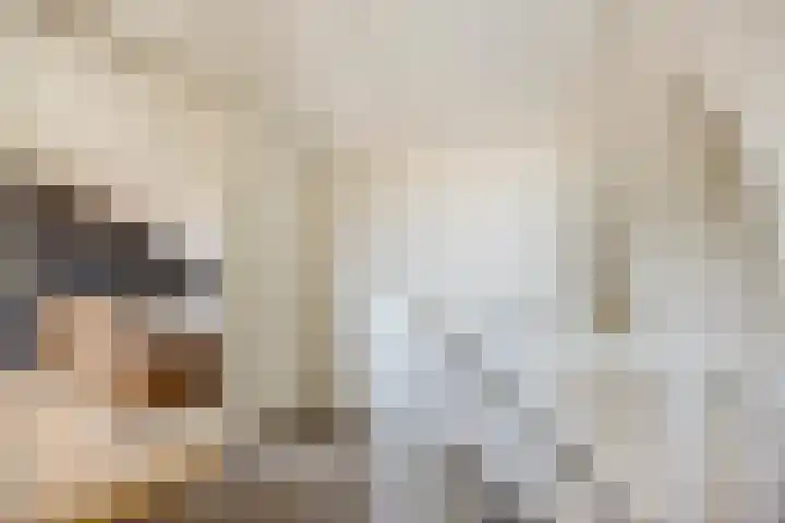 Pater Berthierstraat 2 Grave thumbnail 29