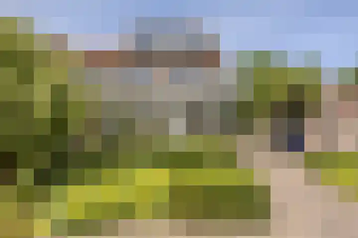 Pater Berthierstraat 2 Grave thumbnail 32