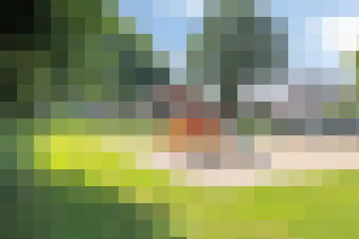 Pater Berthierstraat 2 Grave thumbnail 47