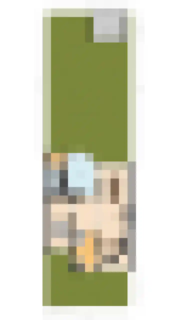 Pater Berthierstraat 2 Grave thumbnail 56