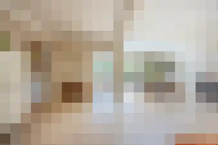 Pater Berthierstraat 2 Grave thumbnail 6
