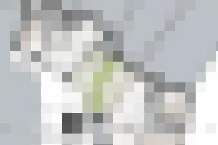 Patersstraat 4 D Venray thumbnail 16