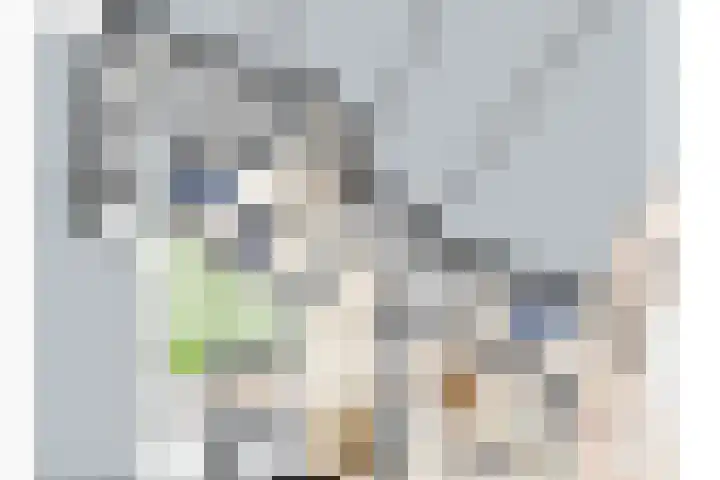 Patersstraat 4 D Venray thumbnail 18