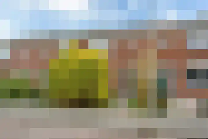 Paterstrjitte 5 Woudsend