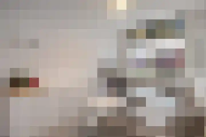 Pathmossingel 18 Enschede thumbnail 12