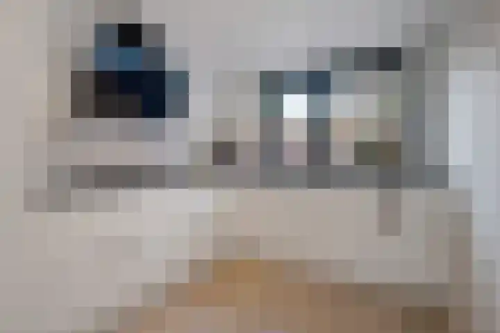 Pathmossingel 18 Enschede thumbnail 15