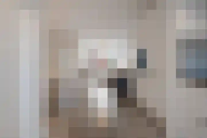 Pathmossingel 18 Enschede thumbnail 17