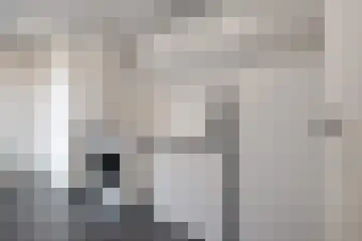 Pathmossingel 18 Enschede thumbnail 19