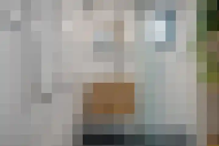 Pathmossingel 18 Enschede thumbnail 21