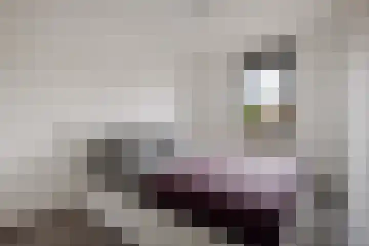 Pathmossingel 18 Enschede thumbnail 25