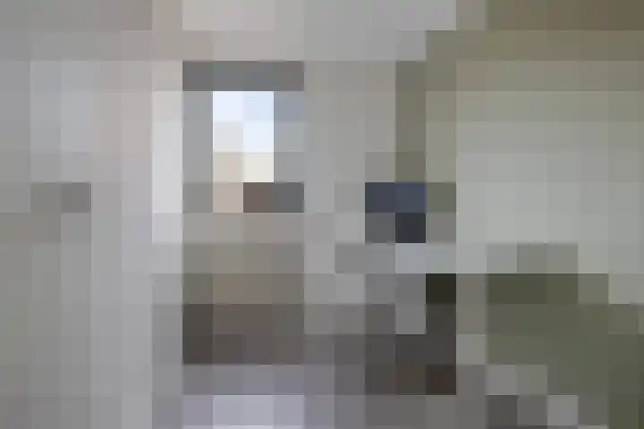 Pathmossingel 18 Enschede thumbnail 27