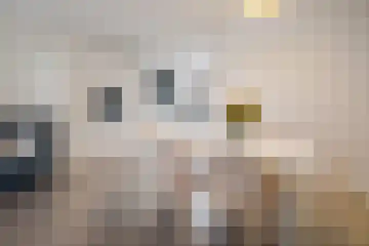 Pathmossingel 18 Enschede thumbnail 6