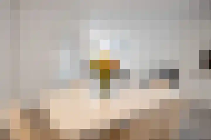 Pathmossingel 18 Enschede thumbnail 7