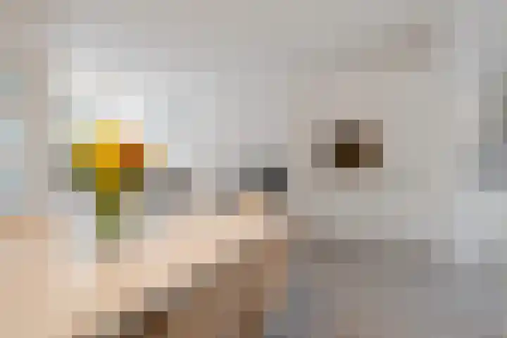 Pathmossingel 18 Enschede thumbnail 8