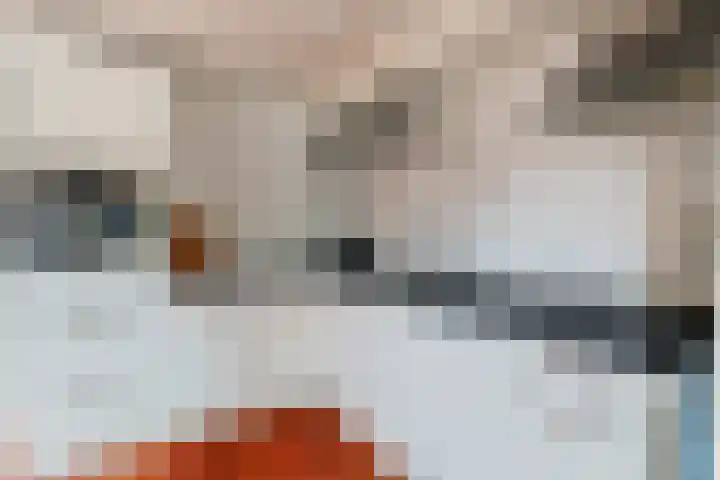 Pathmossingel 20 Enschede thumbnail 14