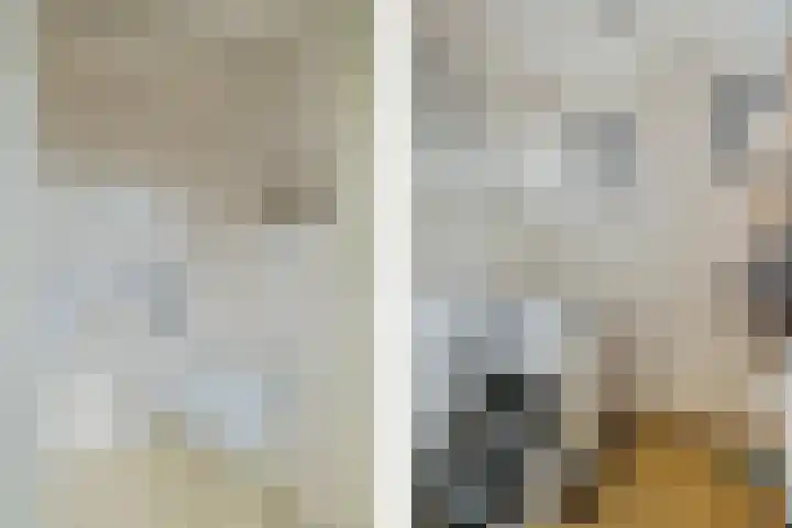 Pathmossingel 20 Enschede thumbnail 15