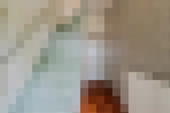 Pathmossingel 20 Enschede thumbnail 16