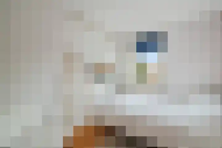 Pathmossingel 20 Enschede thumbnail 19