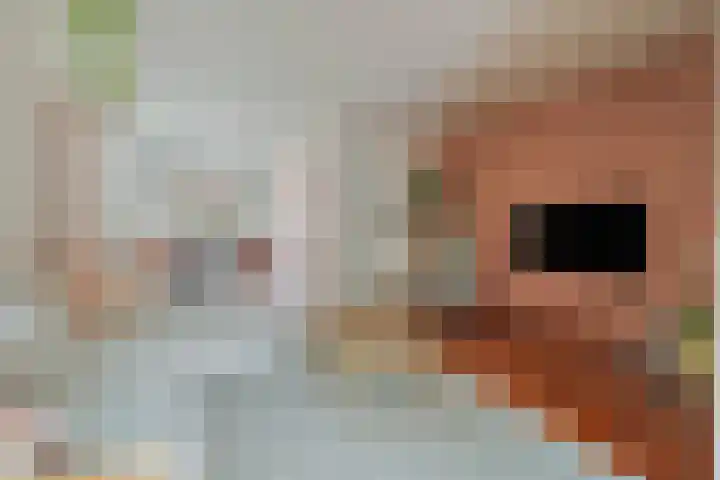 Pathmossingel 20 Enschede foto 2