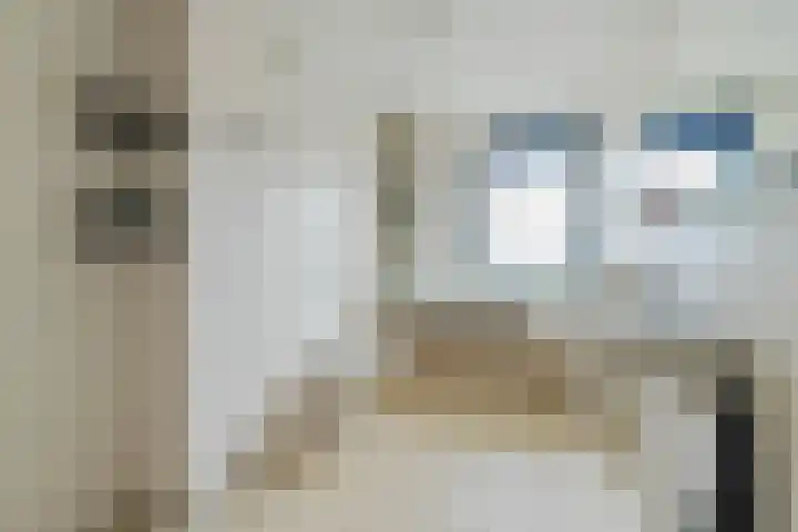 Pathmossingel 20 Enschede thumbnail 24