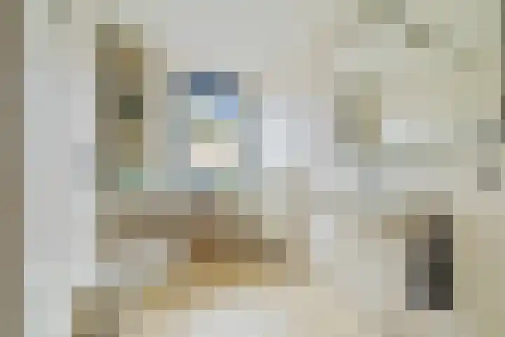 Pathmossingel 20 Enschede thumbnail 25