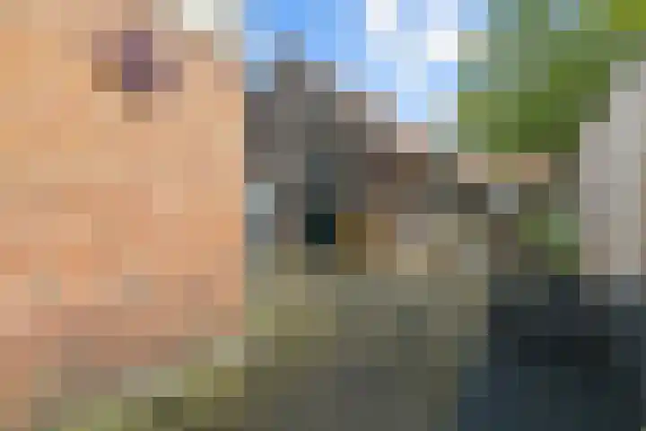 Pathmossingel 20 Enschede thumbnail 27