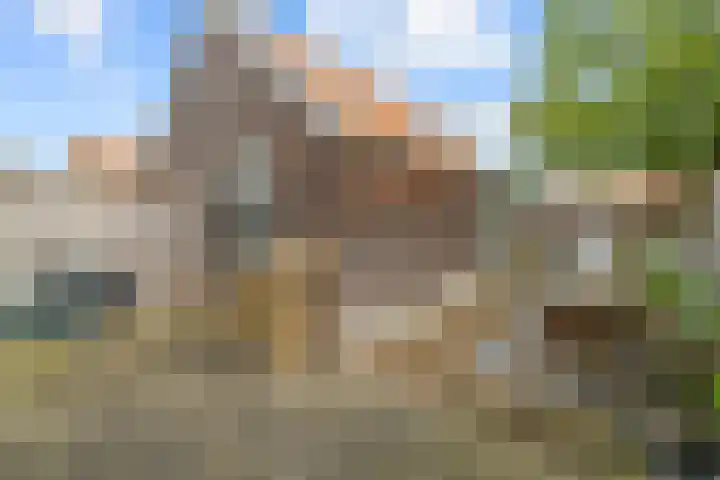 Pathmossingel 20 Enschede thumbnail 29