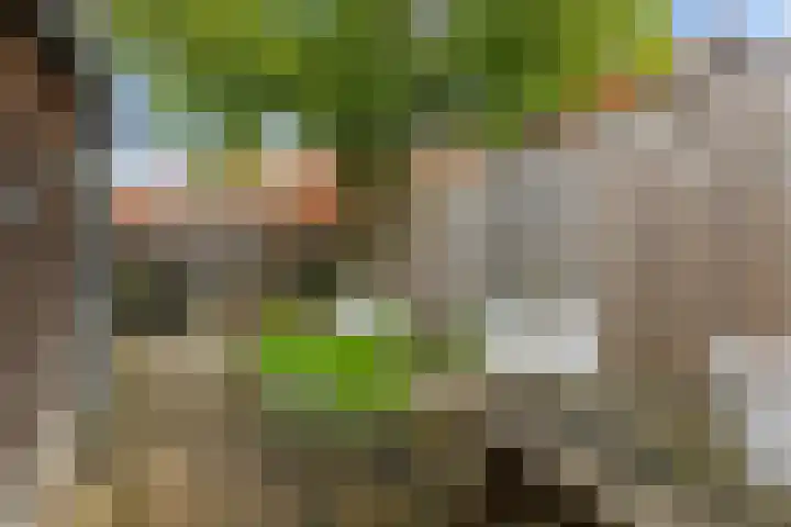 Pathmossingel 20 Enschede thumbnail 30