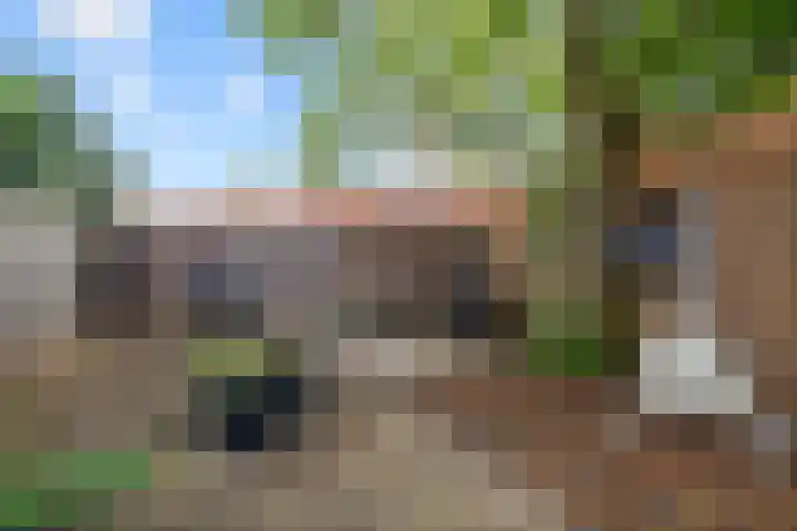 Pathmossingel 20 Enschede thumbnail 31
