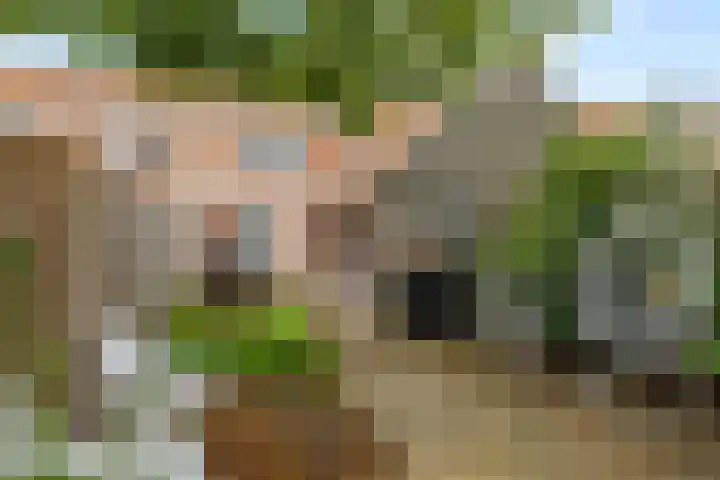 Pathmossingel 20 Enschede thumbnail 32