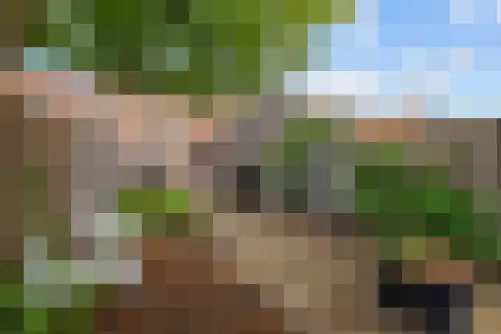 Pathmossingel 20 Enschede thumbnail 33