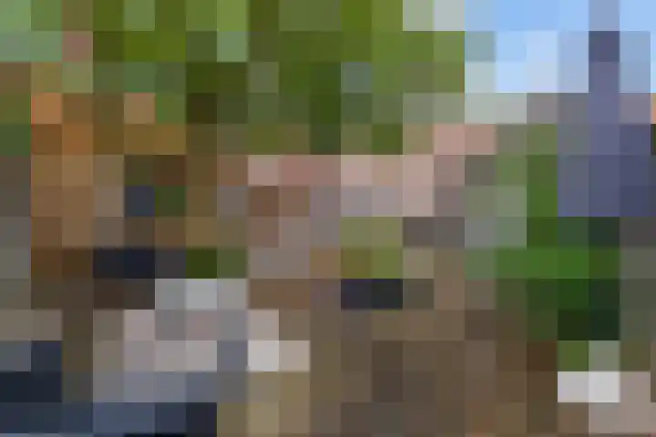 Pathmossingel 20 Enschede thumbnail 5