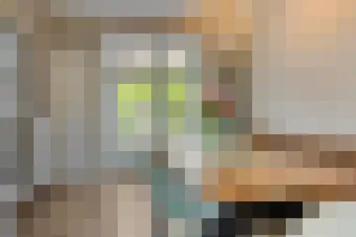 Patijnweg 8 Goes thumbnail 10