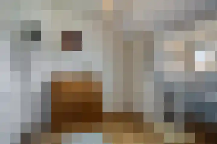 Patijnweg 8 Goes thumbnail 30