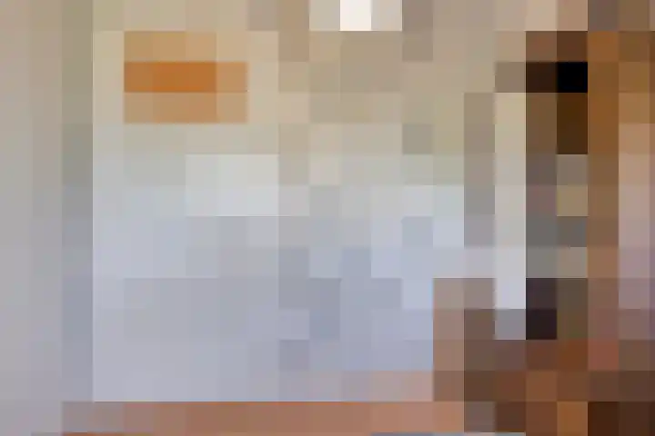 Patijnweg 8 Goes thumbnail 34