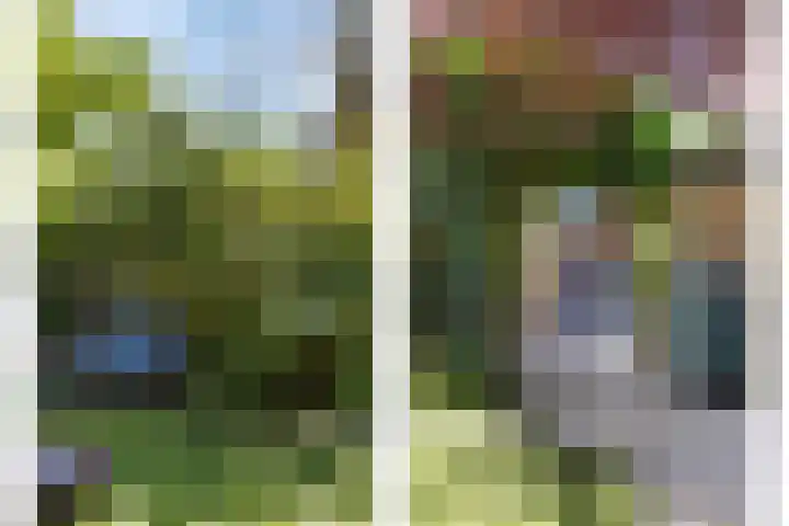 Patijnweg 8 Goes thumbnail 40