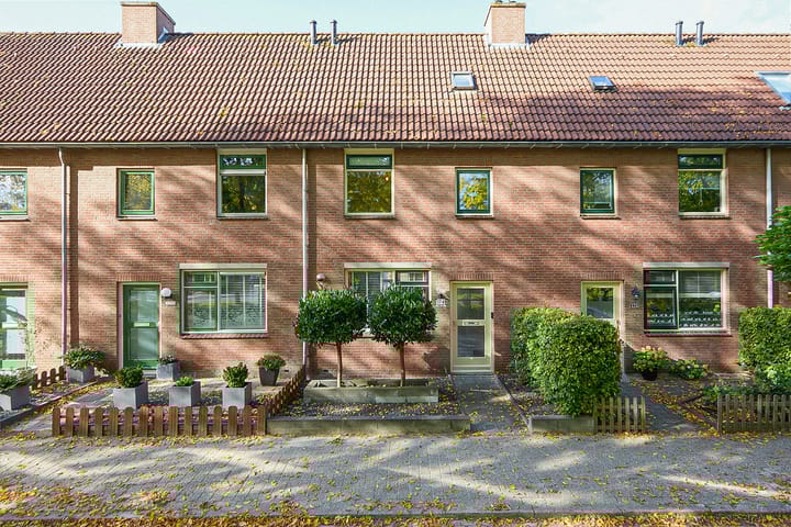 Patio 174 in Hoorn foto