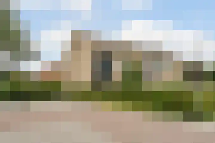 Patrijs 1 Ursem