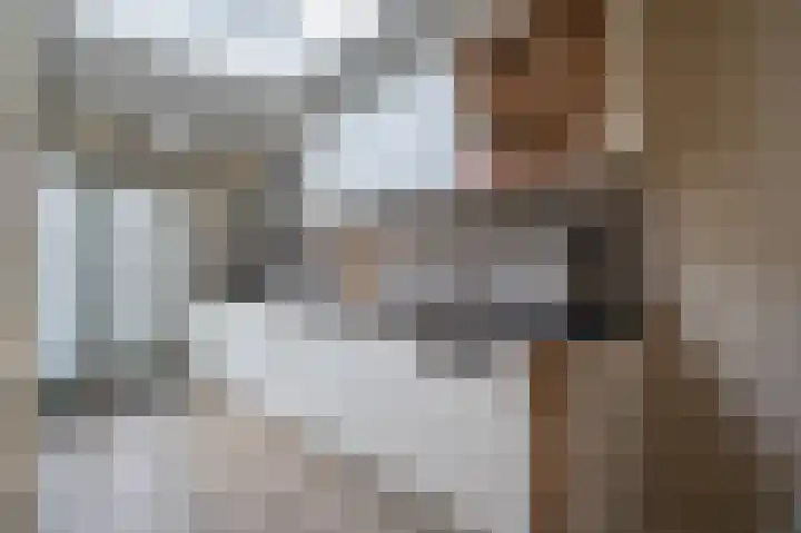 Patrijs 17 Staphorst thumbnail 10
