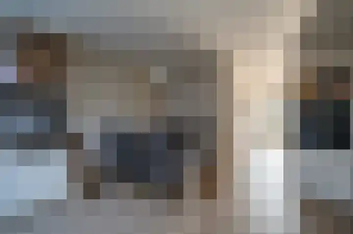Patrijs 17 Staphorst thumbnail 12