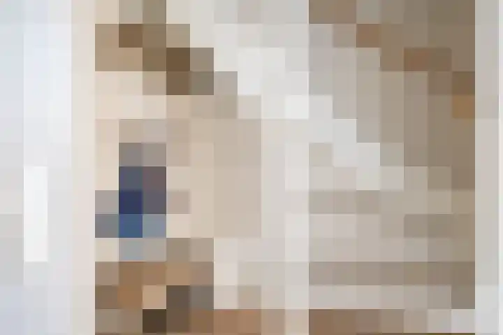 Patrijs 17 Staphorst thumbnail 15