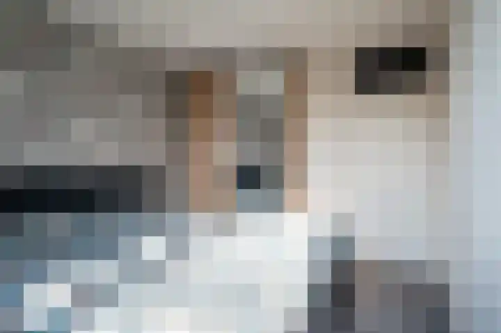 Patrijs 17 Staphorst thumbnail 18